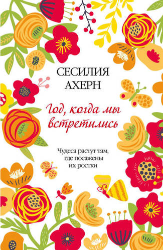 Обложка книги Год, когда мы встретились