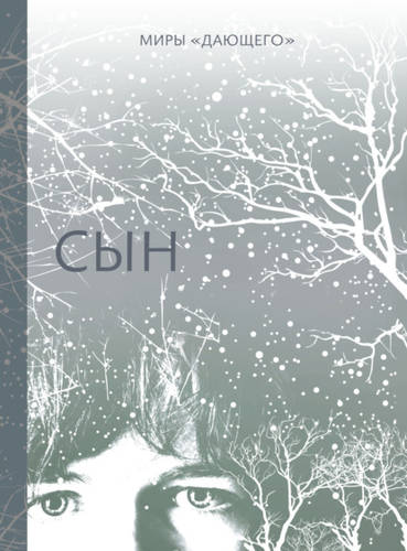 Обложка книги Сын