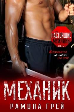 Обложка книги Механик