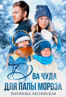 Обложка книги Два чуда для Папы Мороза