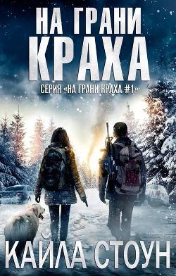 Обложка книги На грани краха