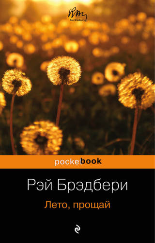 Обложка книги Лето, прощай