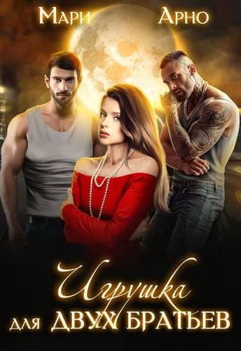 Обложка книги Игрушка для двух братьев