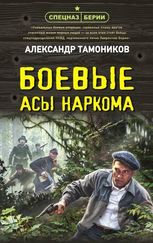 Обложка книги Боевые асы наркома