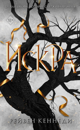 Обложка книги Искра