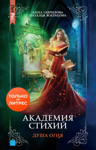 Обложка книги Академия Стихий 2. Душа Огня