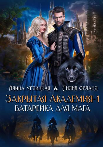 Обложка книги Батарейка для мага