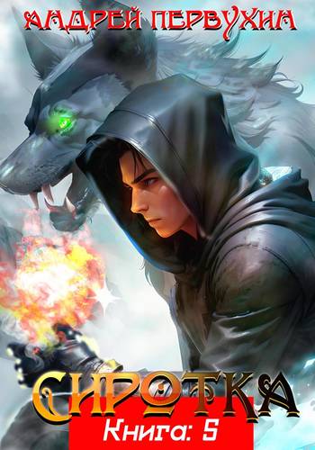 Обложка книги Сиротка 5