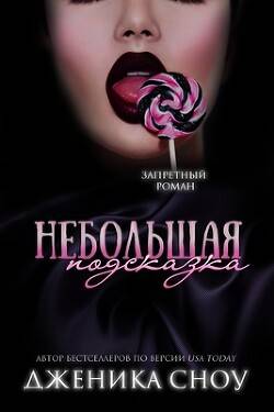 Обложка книги Небольшая подсказка