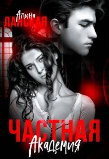 Обложка книги Частная Академия. Осколки