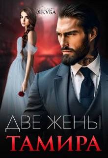Обложка книги Две жены Тамира