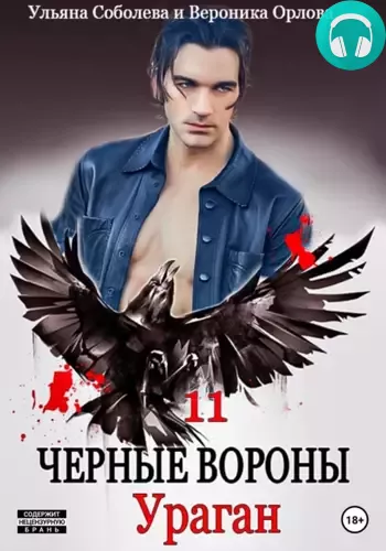 Чёрные вороны 11. Ураган Обложка Чёрные вороны 11. Ураган