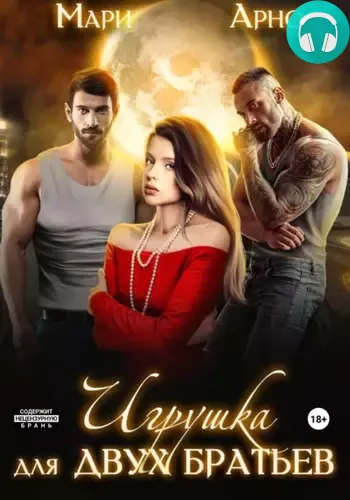 Обложка книги Игрушка для двух братьев