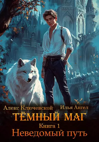 Обложка книги Тёмный маг 1. Неведомый путь