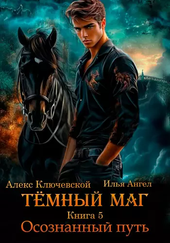 Обложка книги Тёмный маг 5. Осознанный путь