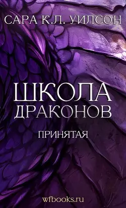 Обложка книги Принятая