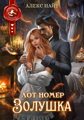Обложка книги Лот номер Золушка
