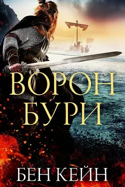 Обложка книги Ворон Бури