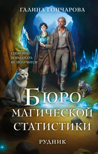Обложка книги Бюро магической статистики. Рудник