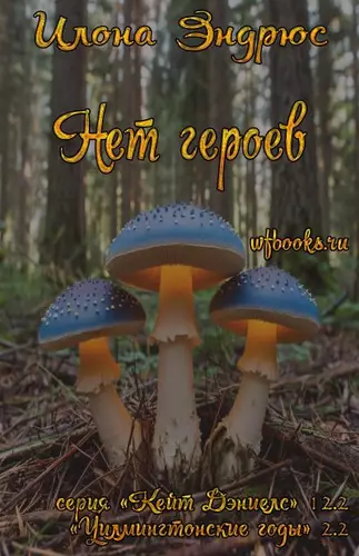 Обложка книги Нет героев