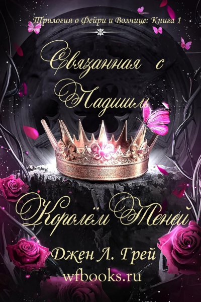 Обложка книги Связанная с Падшим Королём Теней