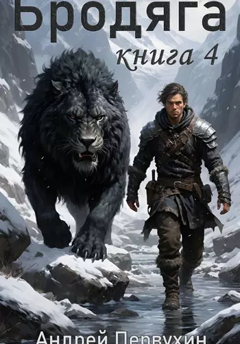 Обложка книги Бродяга 4