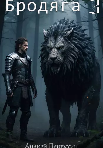 Обложка книги Бродяга 3