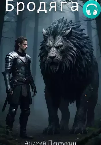 Обложка книги Бродяга 3