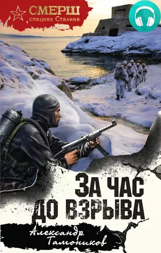 Обложка книги За час до взрыва