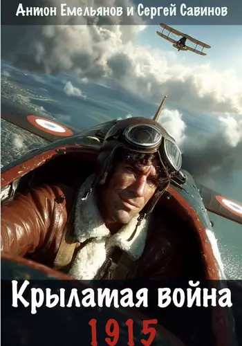 Обложка книги Крылатая война. 1915. Книга 1