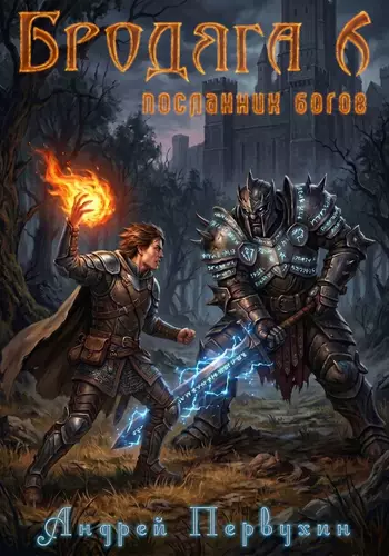 Обложка книги Бродяга 6. Посланник богов