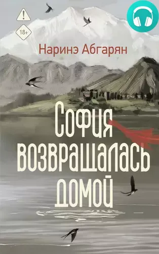 Обложка книги София возвращалась домой