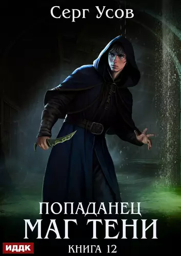Обложка книги Попаданец. Маг Тени 12