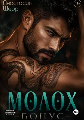 Обложка книги Молох. БОНУС!