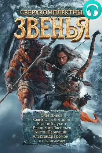 Обложка книги Сверхкомплектные звенья