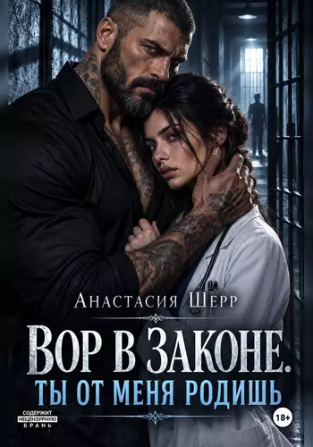 Обложка книги Вор в законе. Ты от меня родишь