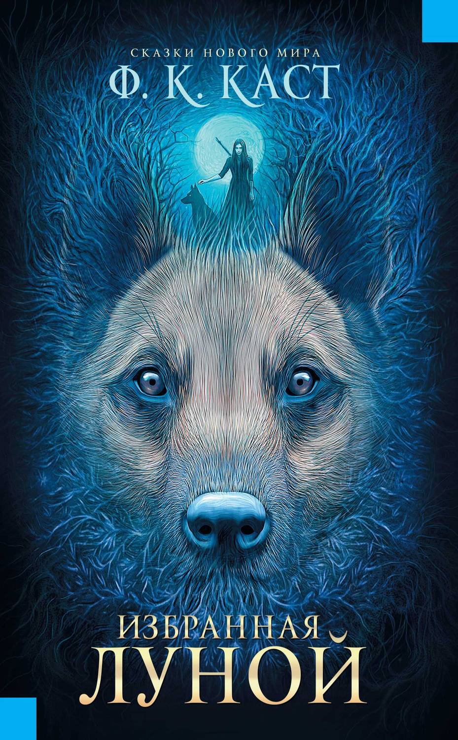 Обложка книги Избранная луной