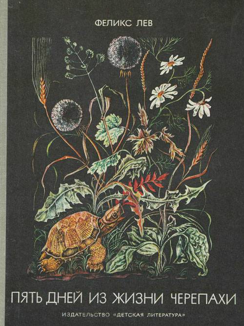Обложка книги Пять дней из жизни черепахи