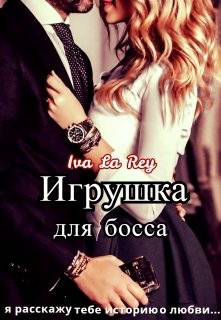 Обложка книги Игрушка для босса