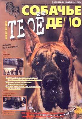 Обложка книги Дай, Джек, на счастье лапу мне