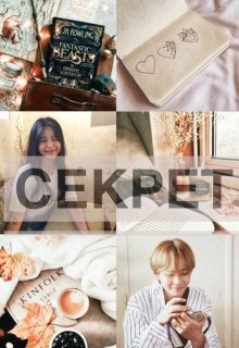 Обложка книги Зима. Секрет