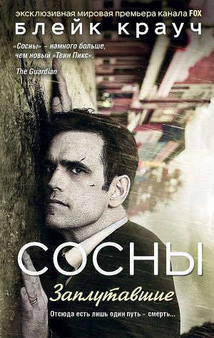 Постер Сосны. Заплутавшие