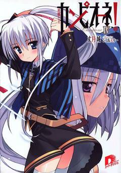 Обложка книги Чемпион! Том 4. Герой и Король