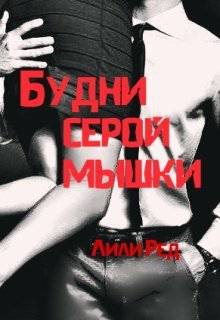 Обложка книги Будни серой мышки