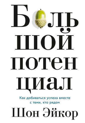 Обложка книги Большой потенциал. Как добиваться успеха вместе с теми, кто рядом