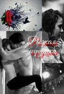 Обложка книги Рыжая Игрушка