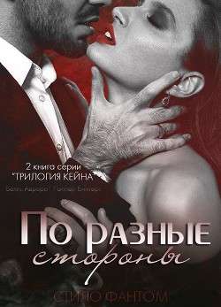 Обложка книги По разные стороны