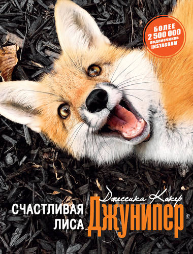 Обложка книги Счастливая лиса Джунипер
