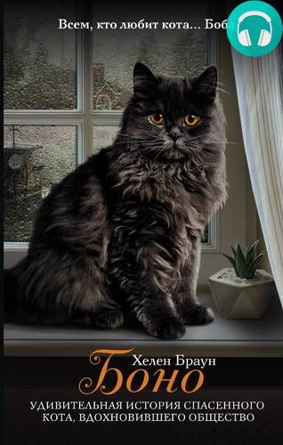 Обложка книги Боно. Удивительная история спасенного кота, вдохновившего общество