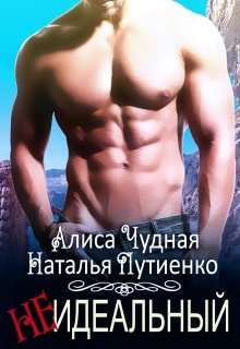 Обложка книги (не) идеальный